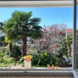 Summer Bloom , Krk Town Croazia