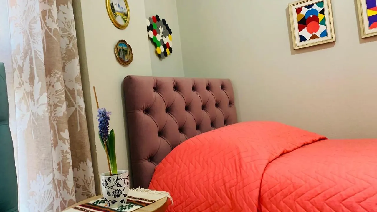 Central Comfy Apartment Tirana